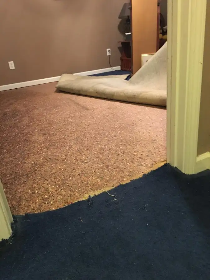 Carpet pad removal revealing water damage during Drying & Dehumidification in South Lake Tahoe