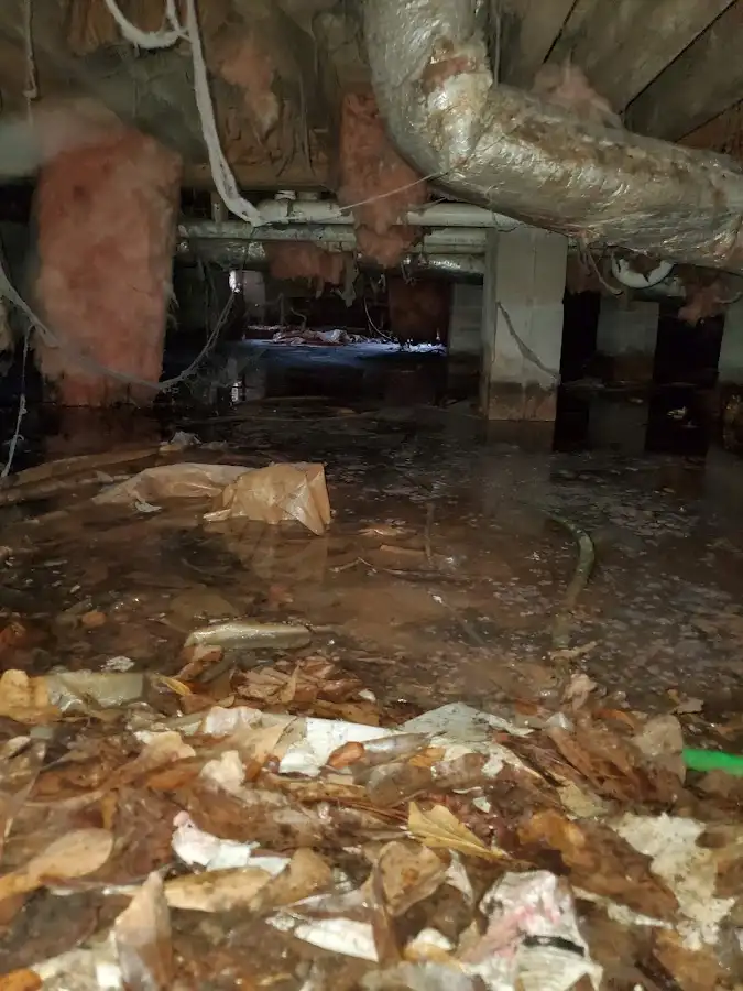 Crawl space flood assessment for Leak Detection & Repair in South Lake Tahoe
